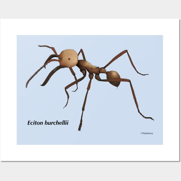 Soldier ant Wall Art by CTinyFactory